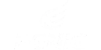 PGING logo